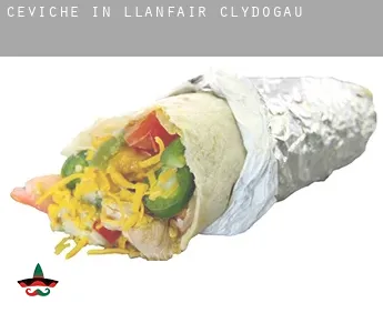 Ceviche in  Llanfair Clydogau