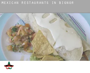 Mexican restaurants in  Bignor