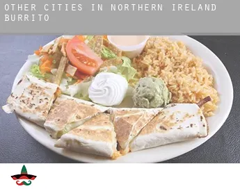 Other cities in Northern Ireland  burrito