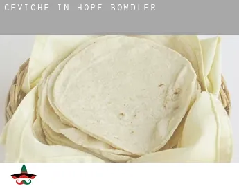 Ceviche in  Hope Bowdler