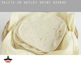 Fajita in  Hatley Saint George