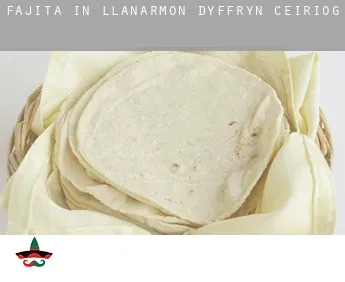 Fajita in  Llanarmon Dyffryn-Ceiriog