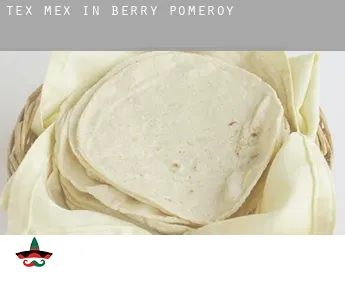 Tex mex in  Berry Pomeroy