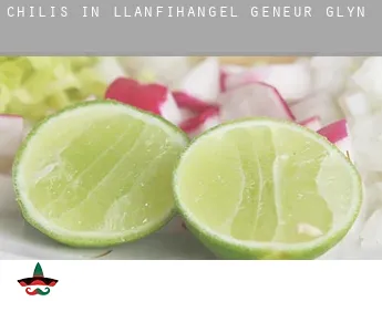 Chilis in  Llanfihangel-geneu’r-glyn