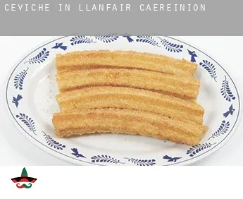 Ceviche in  Llanfair Caereinion