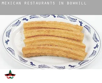 Mexican restaurants in  Bowhill