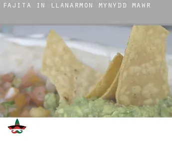 Fajita in  Llanarmon-Mynydd-mawr