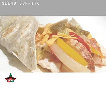 Seend  burrito